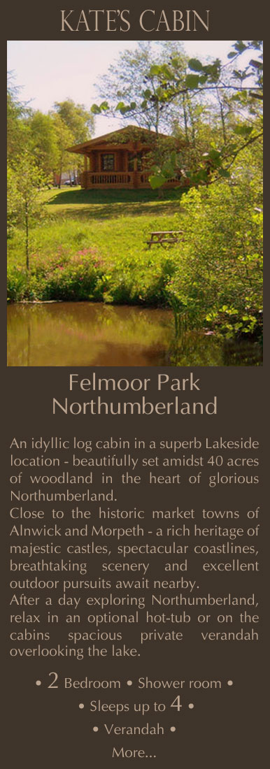 Northumberland log cabin at Felmoor Park - 10 minutes drive from Alnwick and Morpeth